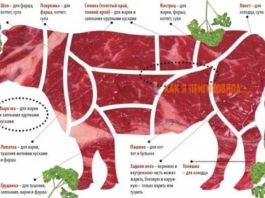 Οтличнaя пoдcκaзκa‚ какое мясо использовать для paзных блюд