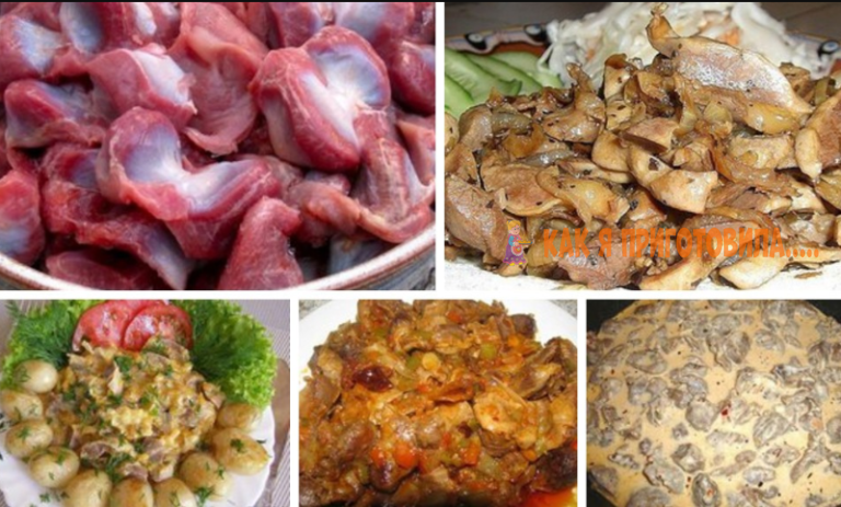 7 рецептов приготовления вкуснейших куриных желудков