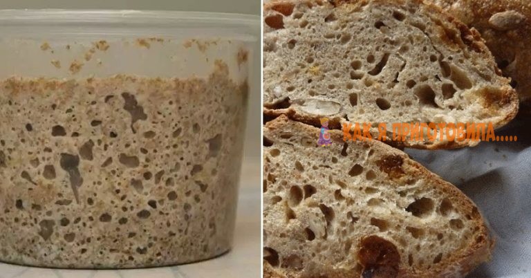Как приготовить вечную закваску: смешай 100 г муки и 100 г воды. Готово